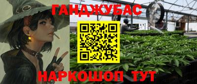 jwh Будённовск